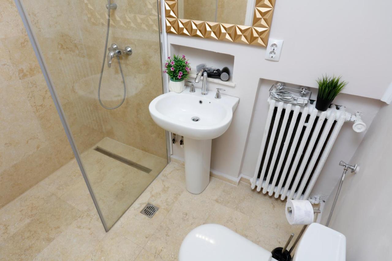Apartmán Grand Phillip Cismigiu Park Downtown Bukurešť Exteriér fotografie